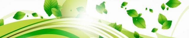 Vector-Eco-Leaves-and-Green-Wave2.jpg